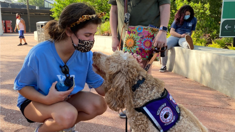 YAC Member petting Service Dog