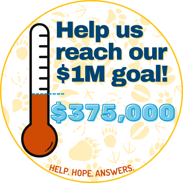 Help us reach out $1M goal. Thermometer showing that we have raised $375,000 so far