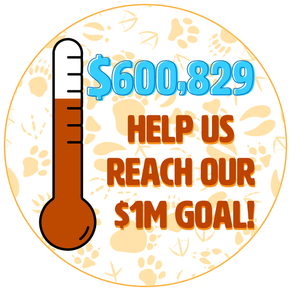 WWM 2024 Goal Thermometer Email 5