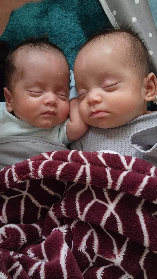 Preemie twins sleeping, wrapped in blanket together