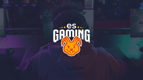 ESGaming logo
