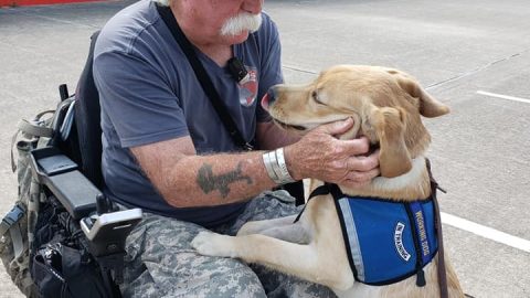 Veteran in wheelchair and Service Dog
