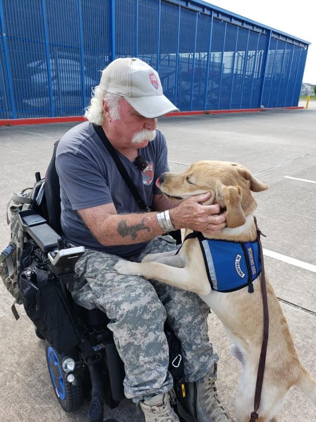 Veteran in wheelchair and Service Dog